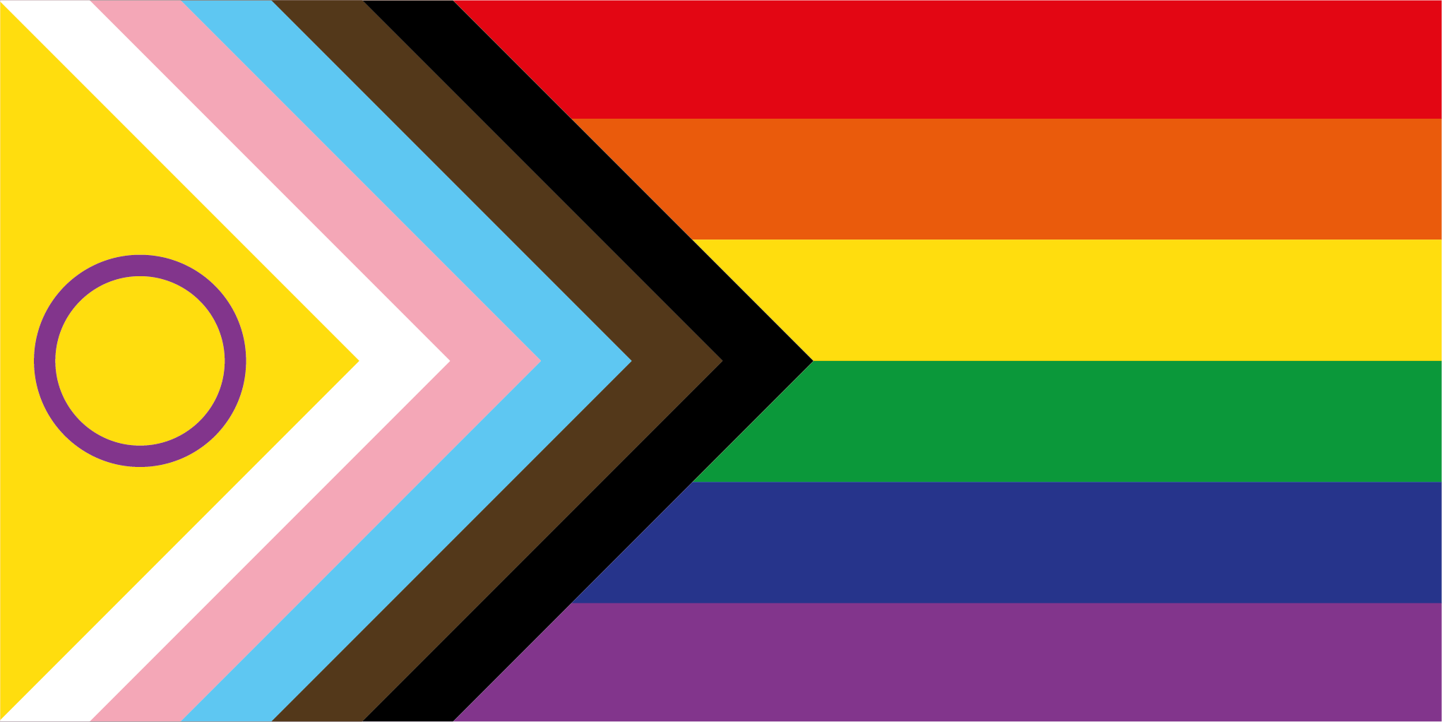 Progress Pride Flag with Intersex representation in the form of a yellow triangle with purple circle in the middle, then white, pink, and light blue stripes for trans representation, brown for BIPOC representation, black for those lost to HIV, hate crimes, etc., and then horizontally, the traditional rainbow flag of red, orange, yellow, green, blue, and purple stripes.
